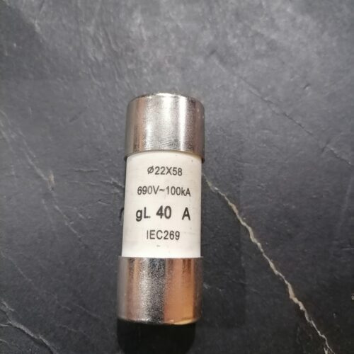 22x58mm gL/gG 40A 690V 100kA Cylindrical Cartridge Fuse – IEC269